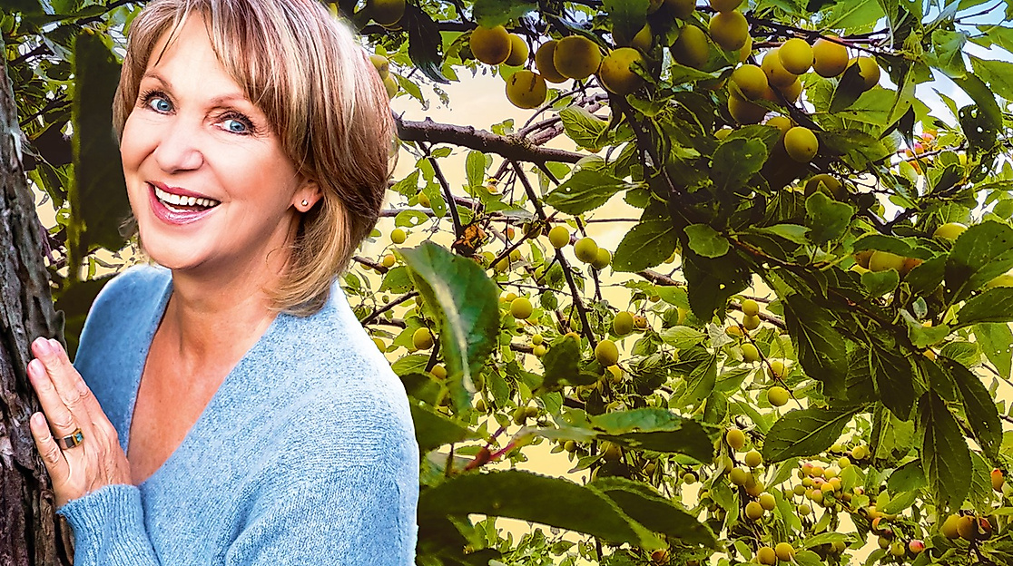 Sabine Kaack Mirabellengeist Foto Boris Wittgefe