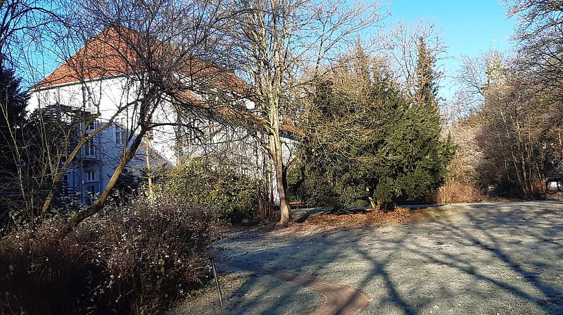 Frost im GSI November, F. GSI (44) klein