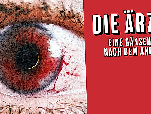 Premium Paket Captain's Skyloft - Die Ärzte - Eine Gänsehaut nach dem andern