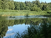 Im Land von Grün und Blau