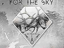 Harakiri for the Sky - Reliving the Trauma