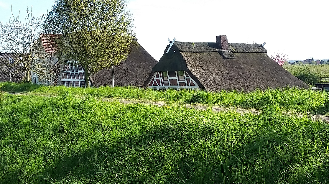 wanderung-finkenwerder-altes-land