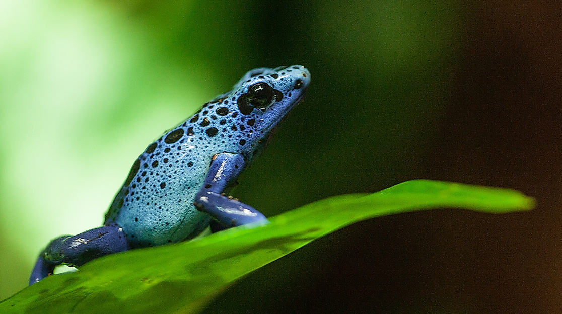 Tropical Aquarium Hagenbeck