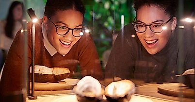 poi-chocoversum-tropen-frucht_c_christian_perl_web2500x1500