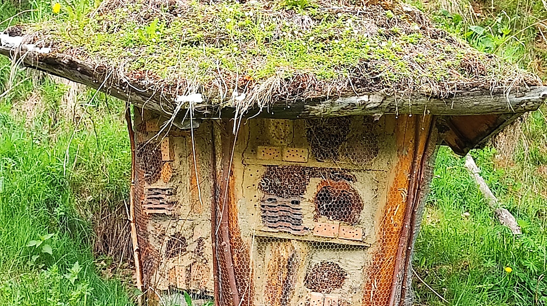 Gartenseminar - naturnahe Gartengestaltung