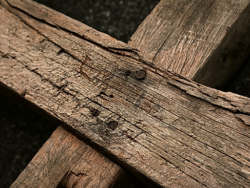 JS Bach: Passionstrilogie im Mariendom I