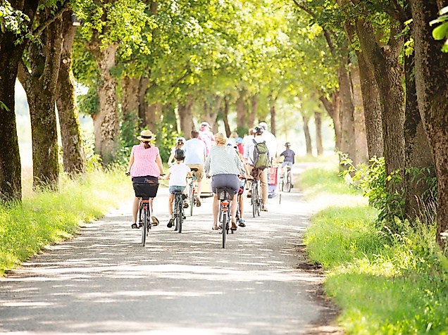 Geführte Radrouten durch Hamburg