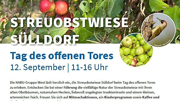 streuobstwiese