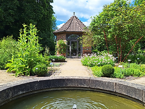 Workshop Butter & Frischkäse selbst herstellen