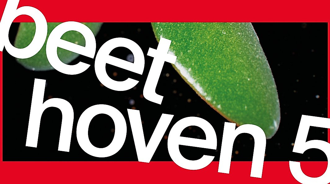 Ensemble Resonanz / Pablo Ferrández / Riccardo Minasi