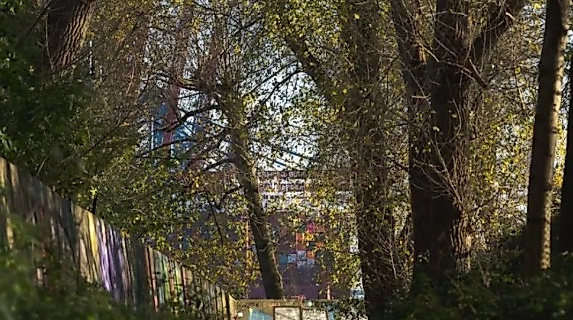 Der Bubendeyweg im Elbwald