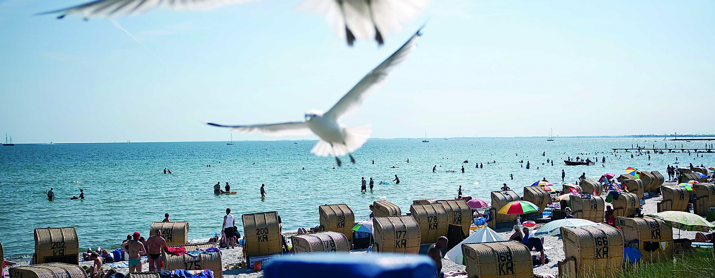 Insel Fehmarn an der Ostsee