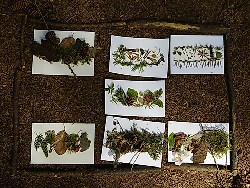 Wald-Collage