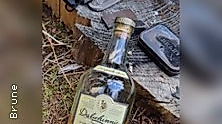 Whisky Wildnis - Ein Tag in der Nordheide