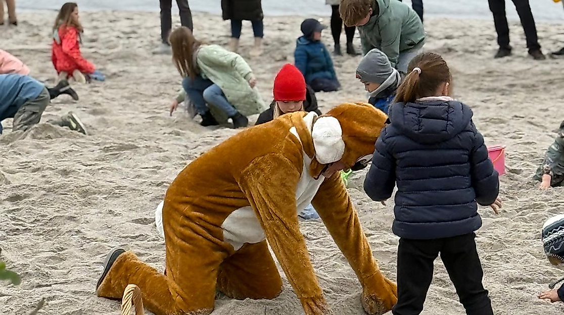 Osterhase sucht Zeitlos