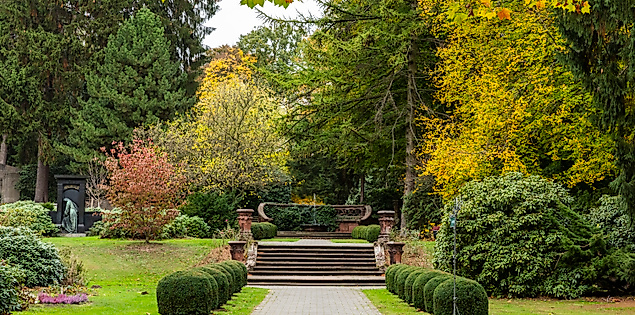 Grüne Grabstätte im Ohlsdorfer Friedhof, eingerahmt von Bäumen, Hecken und herbstlicher Bepflanzung