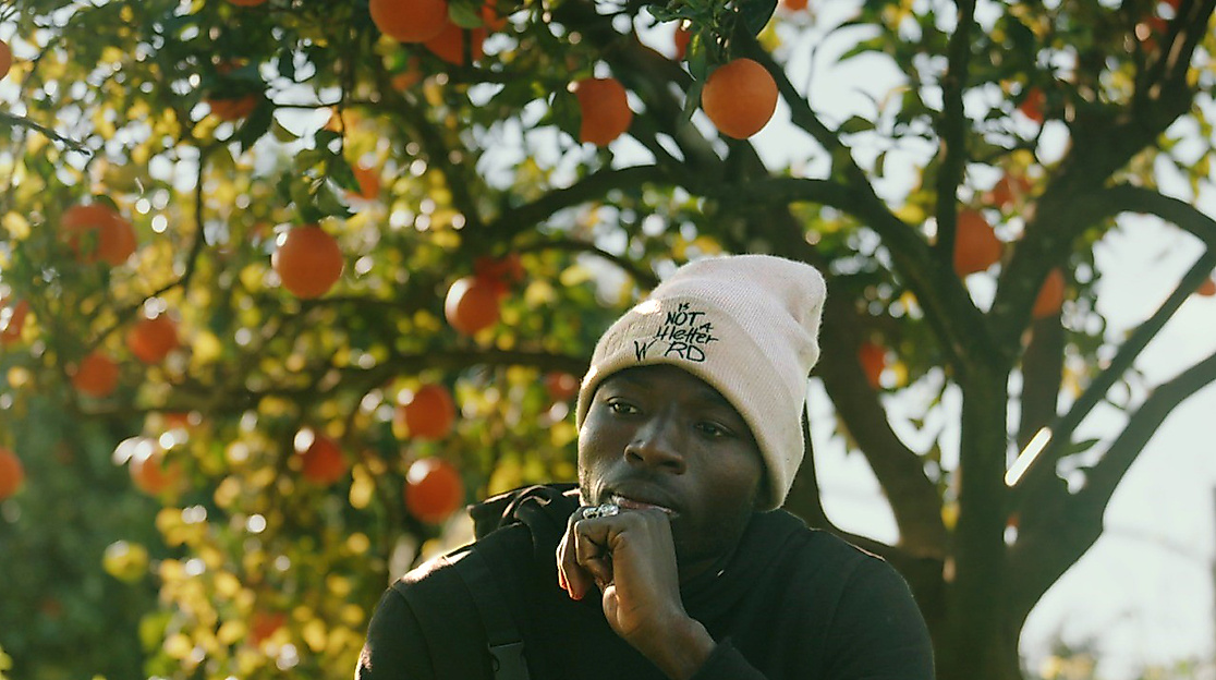 Ein Mann mit weißer Mütze steht vor einem Orangenbaum, an dem Früchte hängen.