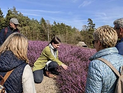 Geführter Heidespaziergang (kostenlos)