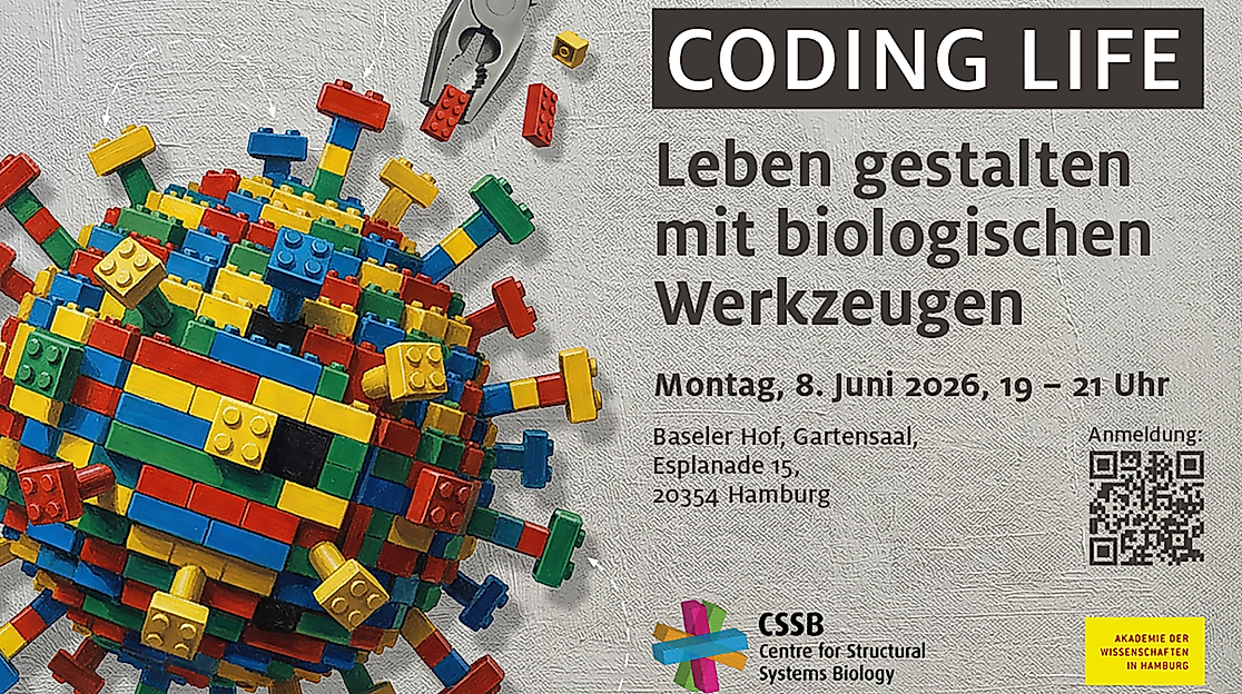 coding-life-uhh-qr