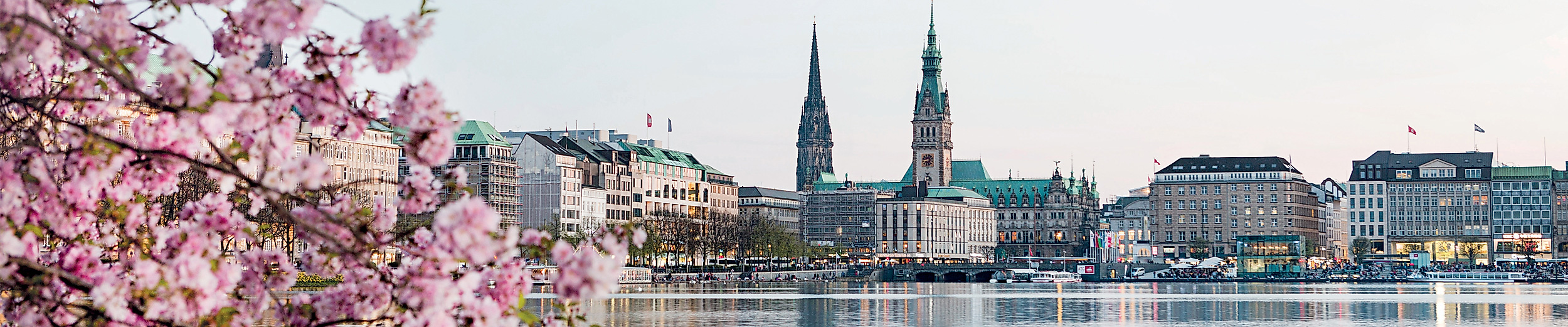 Binnenalster in Hamburg während der Kirschblüte