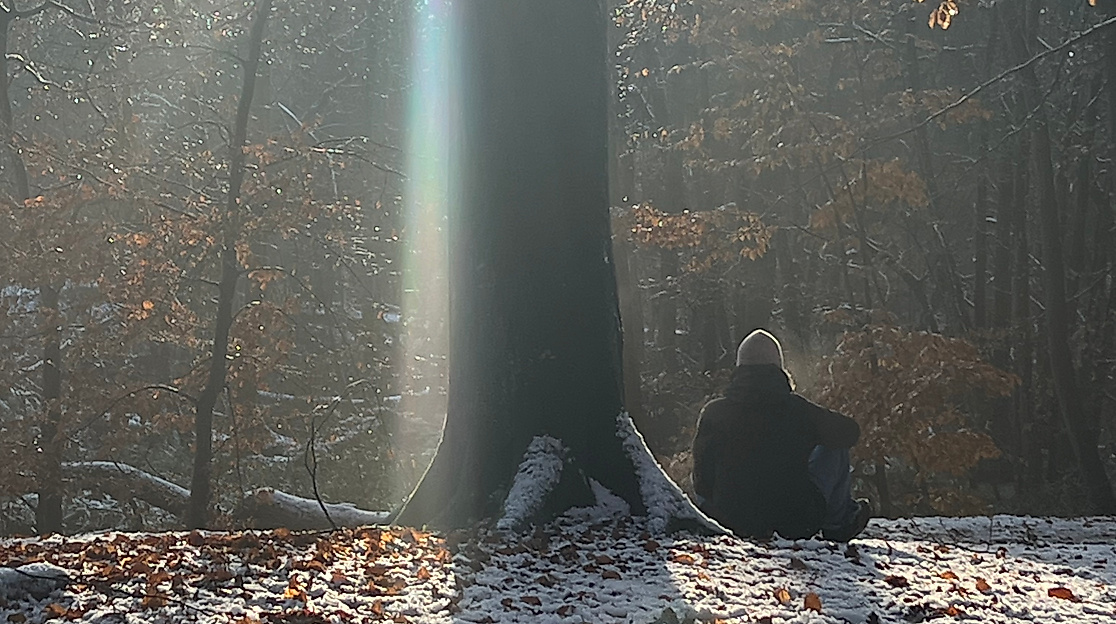 Waldbaden Waldimpuls-Hamburg