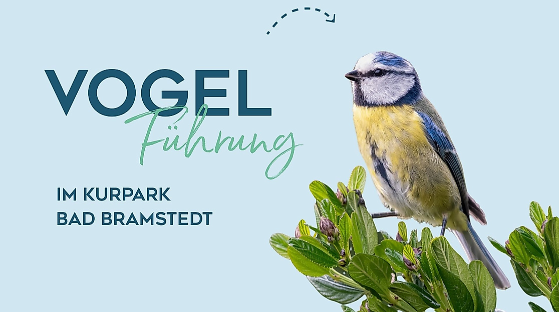 Vogelstimmen Führung