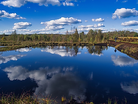 Herbstliche Moorlandschaft