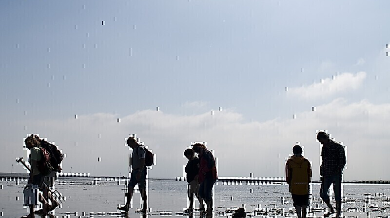 Entdecke das Watt - Geführte Wattwanderung im Nordseebad Otterndorf