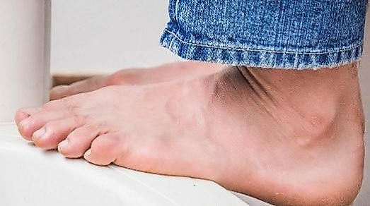 26-05-12 Happy Feet pixabay