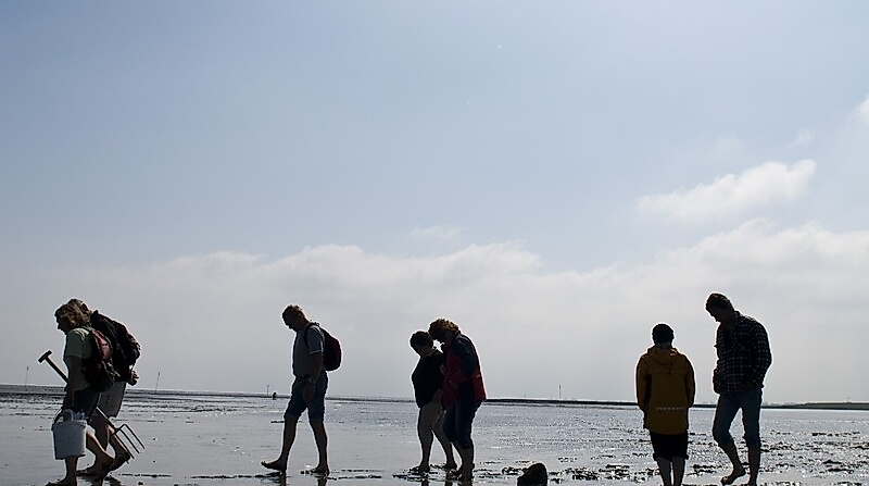 Winter - Wattführung im Nordseebad Otterndorf