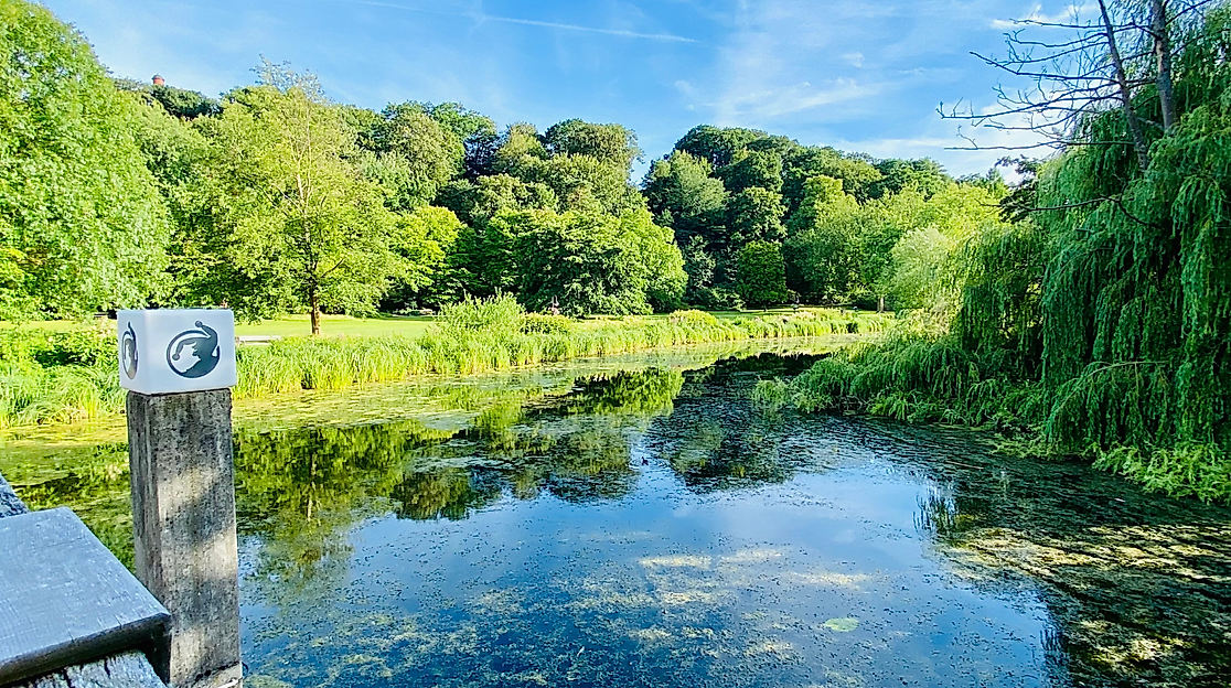 Achtsamkeit im Kurpark: Der stille Morgen