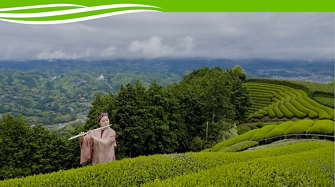 Vorlagen PuB Veranstaltungskalender (40)