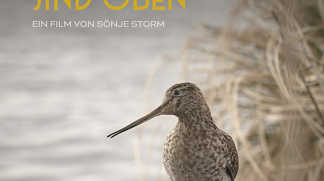 poster-die-toten-voegel-sind-oben-2023-04-din-a13mm-min