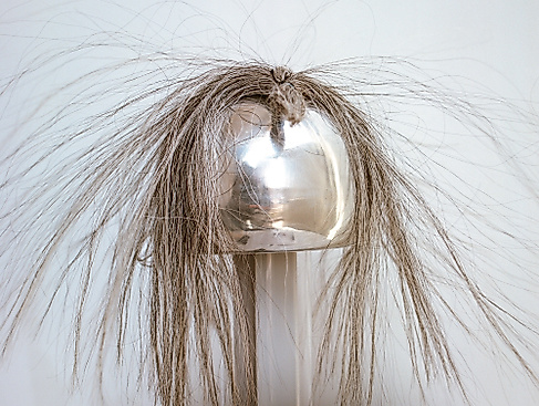 Nina Porter, Sample Question, 2026