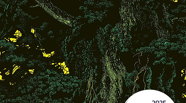 Dorothee Elmiger: "Die Holländerinnen"