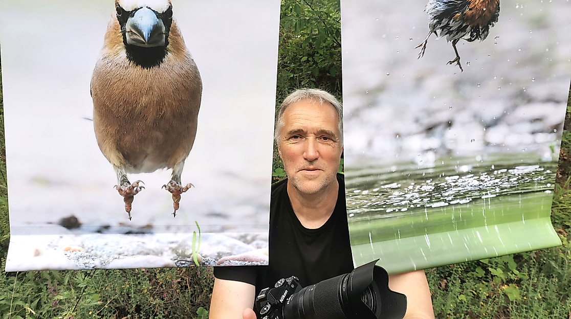 Fotoausstellung „Waldbaden in Wittfeitzen"