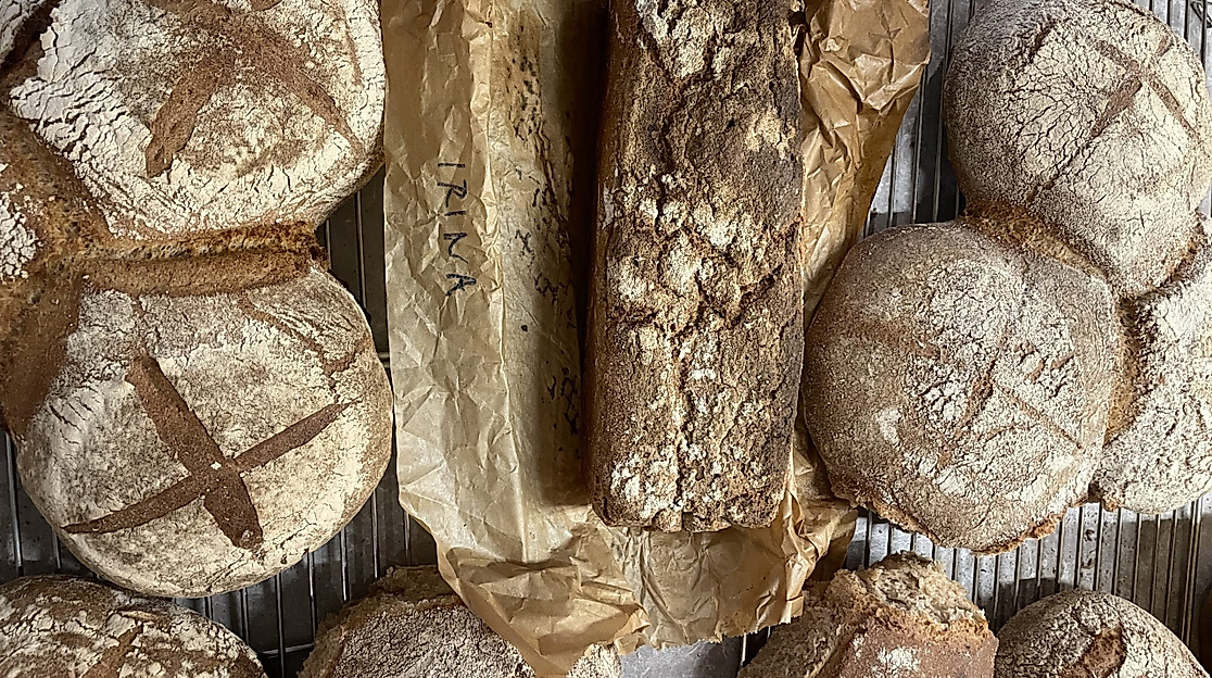Backworkshop Bio-Sauerteigbrot