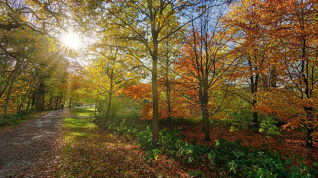 Bild von Tim Hill auf Pixabay