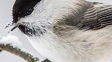 Screenshot 2025-11-26 132355