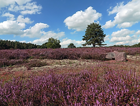 Wandern mit dem TuS Bodenteich