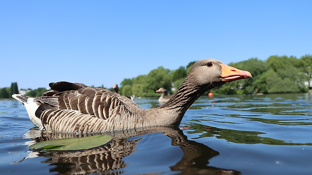 termin_02.05.26_IMG_7504_KANU