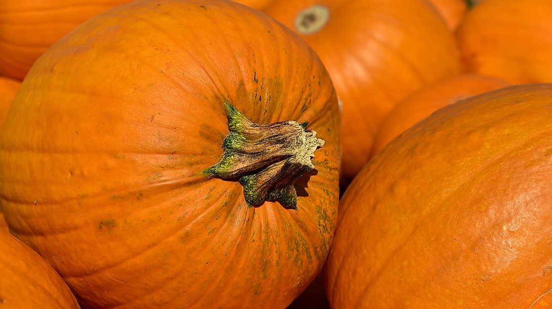 25-10-31 Halloween Kürbis pixabay