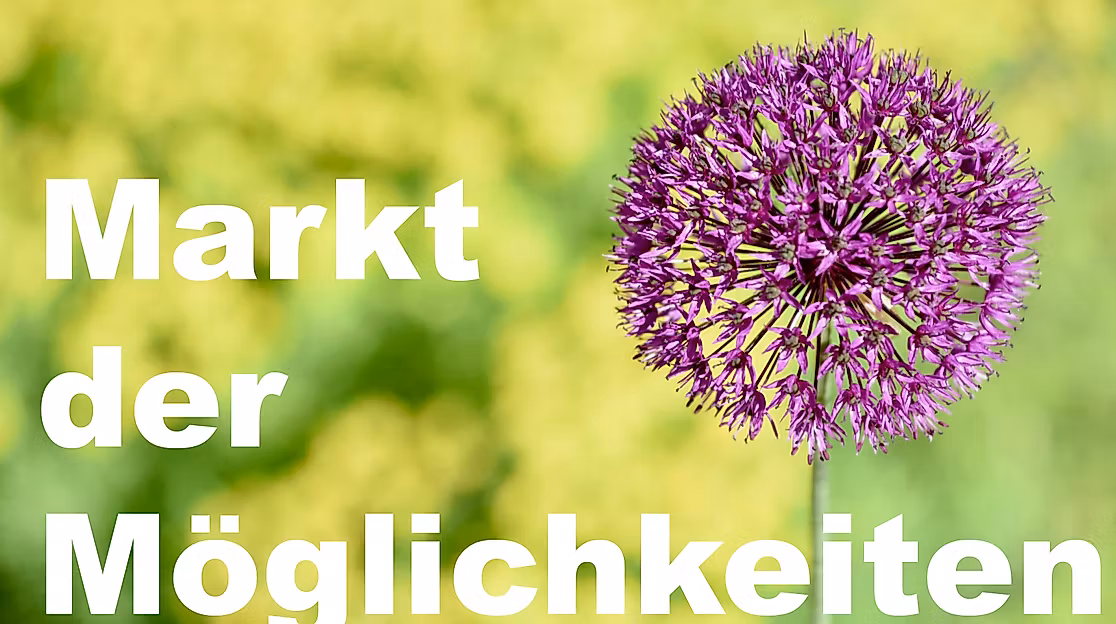 Markt der Möglichkeiten
