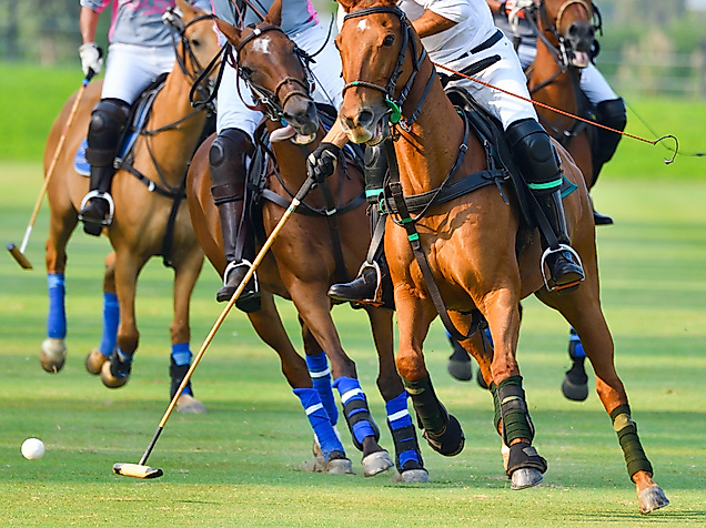 Hamburger Polo Club