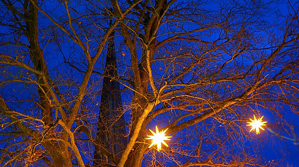 Hermannsburg-Sterne_im_Baum_vor_Kirche-CC0-karjetta-20241218