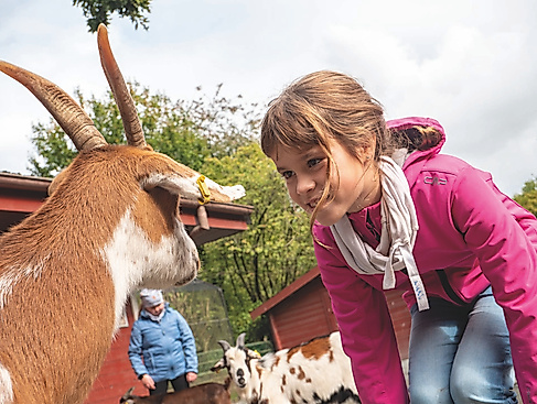 Kindertag im Wingster Waldzoo