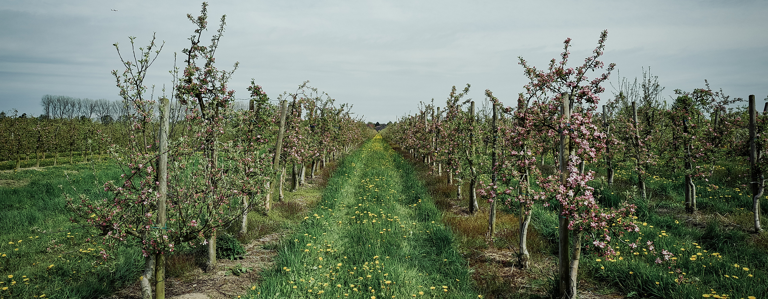 finkenwerder_hhlal_c-2017-geheimtipp-hamburg-4