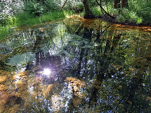 Erlebnis Luhetal