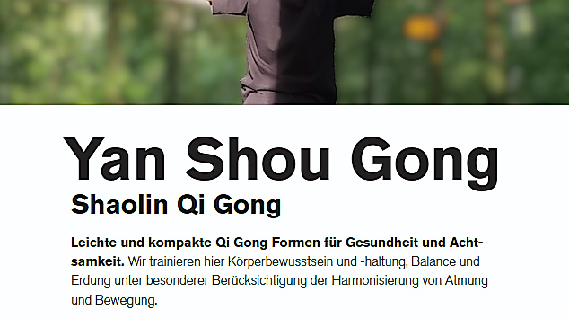 VfL Kurs meine Version