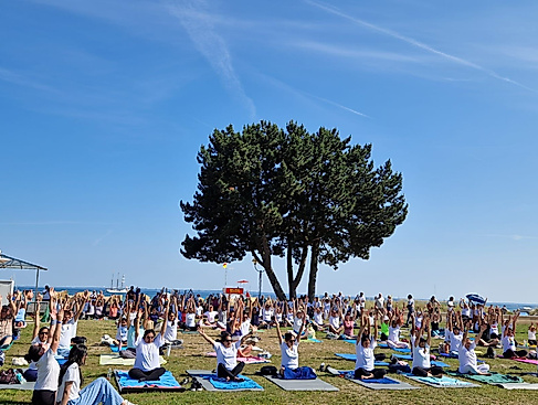 Yogafest 2025